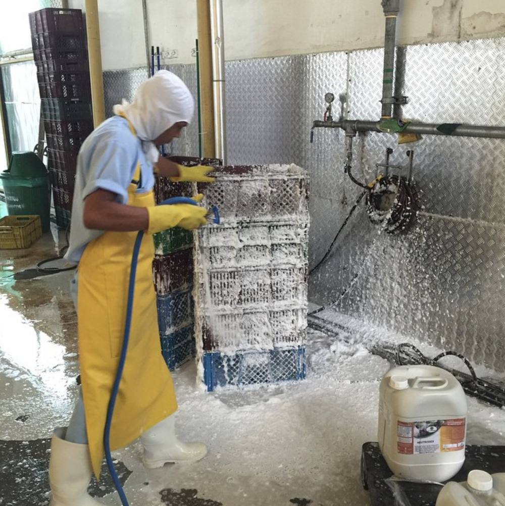 Lavado de canastillas con espuma de Neutrodex