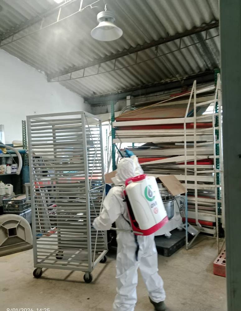 Desinfección de área de producción