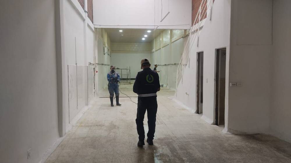 Planta lista para entrega